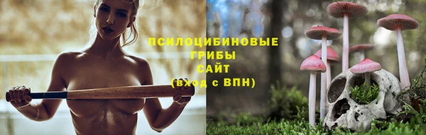 крисы Гусев