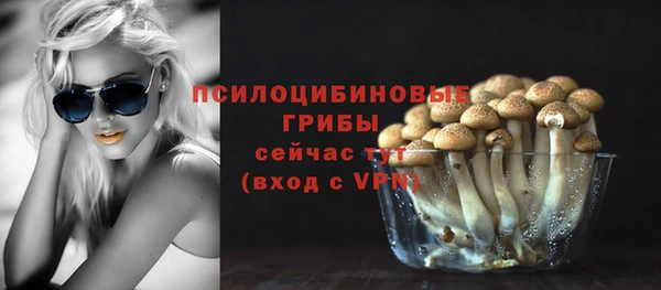 крисы Гусев