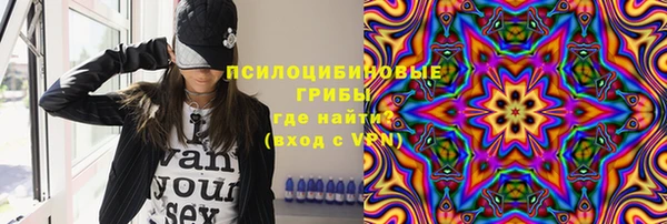 крисы Гусев