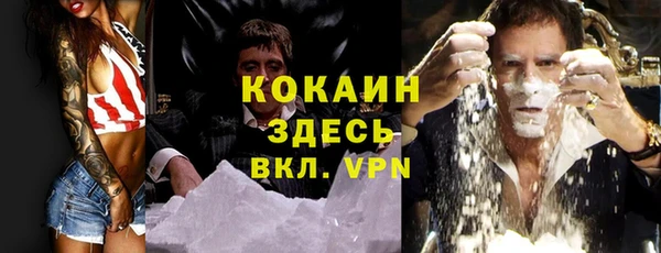 ALPHA PVP Гусь-Хрустальный