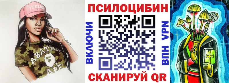 mega   где найти   Малаховка  Псилоцибиновые грибы мицелий 